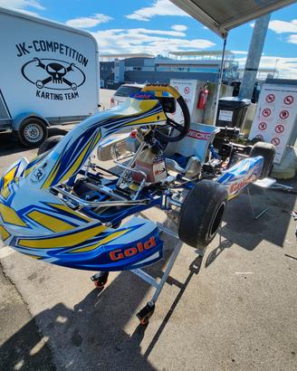 Go-Kart gold motore rok 60cc.