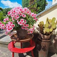 porta vaso fiori in ferro pezzo unico