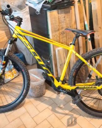 MTB SCOTT e Bianchi