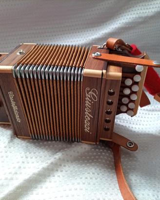 ORGANETTO 