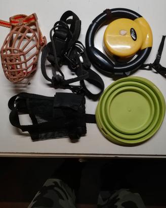 Accessori per cane