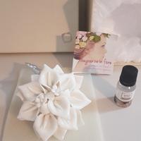 Profumatore ambiente