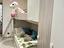 Immagine 2