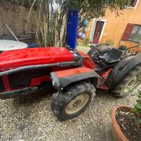Trattore Antonio Carraro sterzante