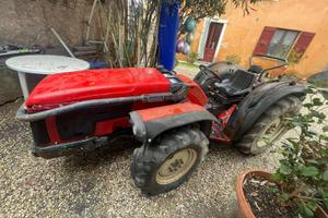 Trattore Antonio Carraro sterzante