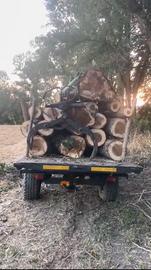 Rimorchio forestale Terrmacch gru e pinza