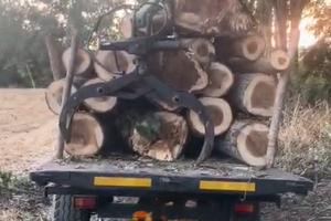 Rimorchio forestale Terrmacch gru e pinza