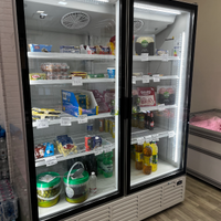 Vetrina Frigo KIWI 1620 2D – MURALE classe C