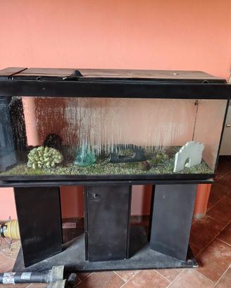 Acquario