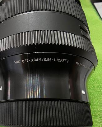 Sigma Art 24-70 dg dn II