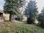 Immagine 25