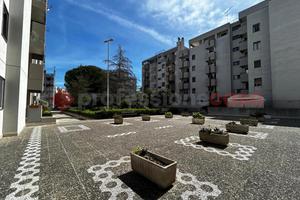 Attico/Mansarda Brindisi [Cod. rif 3144704VRG] (Bo