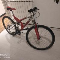 Mountain bike coppi biammortizzata