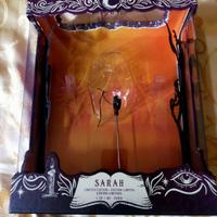 Disney store box limited edition