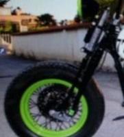 harley davidson springer