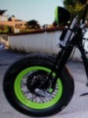 harley davidson springer