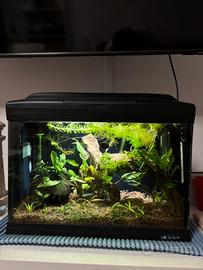 Acquario 21 Litri Ferplast Cayman 40