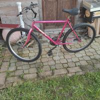 bici 26