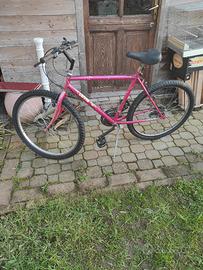 bici 26