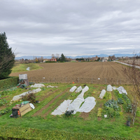 Terreno agricolo a Mogliano Veneto (TV)