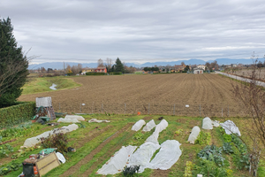 Terreno agricolo a Mogliano Veneto (TV)
