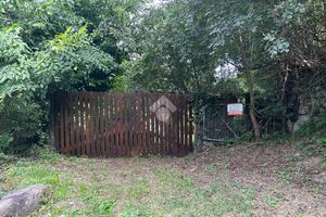 TER. AGRICOLO A BERZO INFERIORE