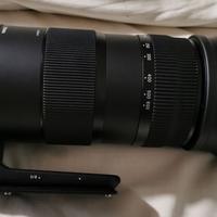 Sigma 150-600mm-F/5-6.3 Sport per Canon