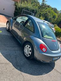New beetle
