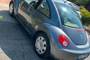 New beetle