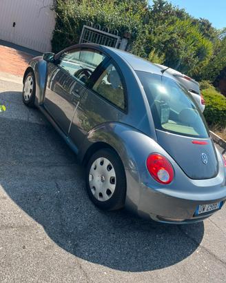 New beetle