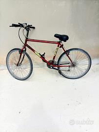 biciclette e porta biciclette 