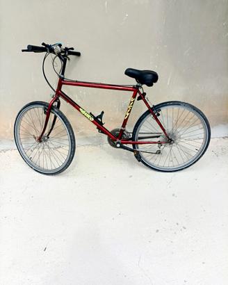 biciclette e porta biciclette 