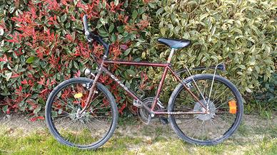 Bicicletta uomo gratis