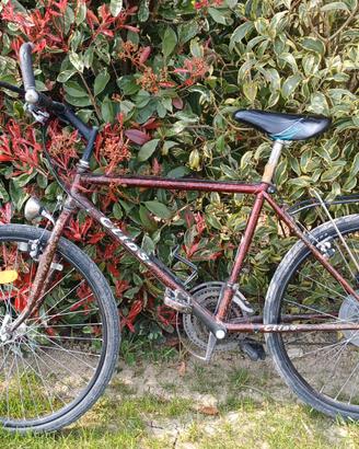 Bicicletta uomo gratis