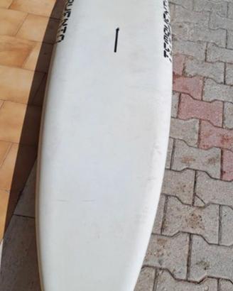 Tavola windsurf