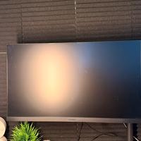 Monitor 24.5 pollici gaming