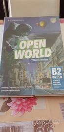 Open world italian edition
