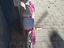 Immagine 3