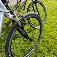 Coppia bici muscolari top