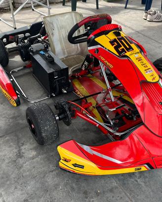 Go kart elettrico