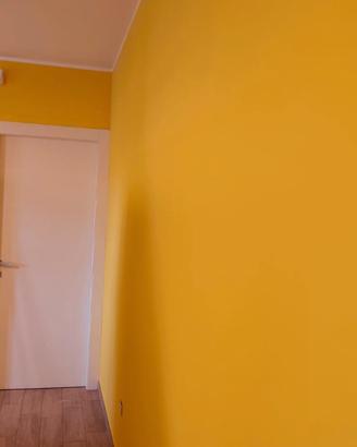 Cartongesso & tinteggiature