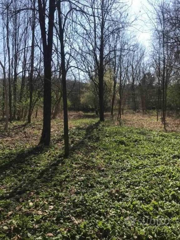 Immobile in asta di 18050 m² a Poggibonsi - Vista 5