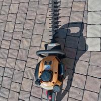 Taglia siepe a scoppio alpina