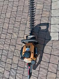 Taglia siepe a scoppio alpina