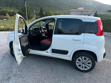 Panda van 4x4 autocarro