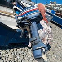 Fuoribordo 20cv evinrude