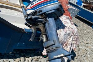 Fuoribordo 20cv evinrude