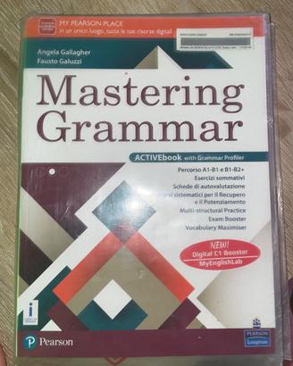 Libro liceo Artistico Galvani Cordenons inglese