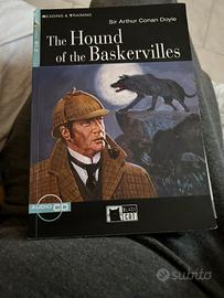 The hound of the Baskervilles