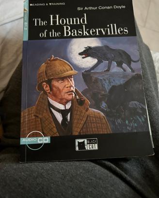 The hound of the Baskervilles